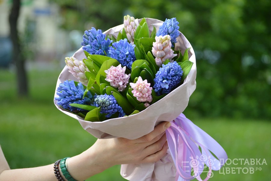 Букет гиацинтов купить в москве почвопокровные цветы купить рассаду